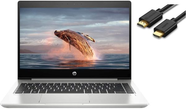 HP ProBook 455R G6 AMD Ryzen™ 5 3500U Laptop 39.6 cm (15.6") Full HD 8 GB DDR4-SDRAM 256 GB SSD Wi-Fi 5 (802.11ac) Windows 10 Pro